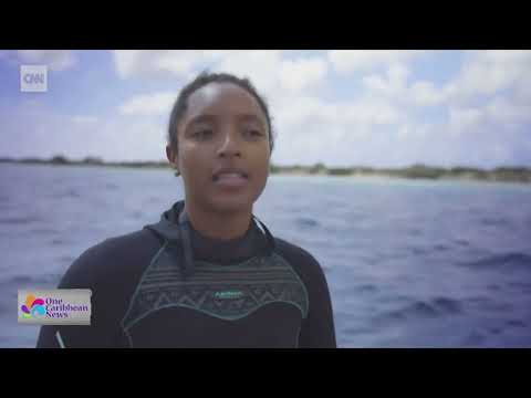 Bonaire Reviving Coral Reefs | One Caribbean Television