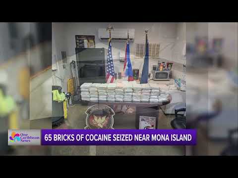 65 Bricks of Cocaine Seized Near Mona Island, Puerto Rico | One ...