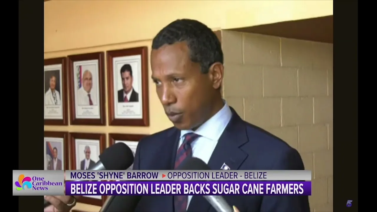 Belize Opposition Leader Backs Sugar Cane Farmers | One Caribbean ...