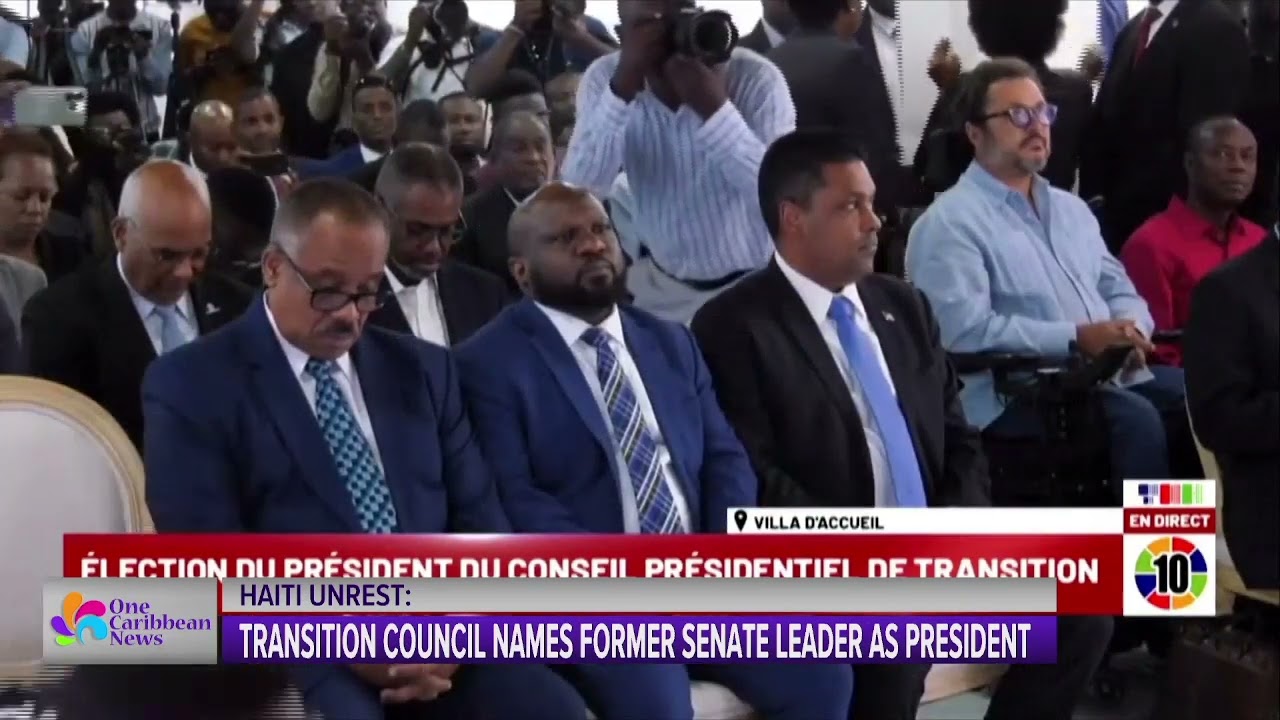 Haiti Unrest: Transition Council Names Former Senate Leader as ...