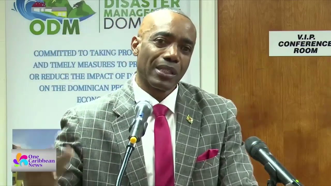 Two Bodies Recovered after Plane Heading to Martinique Crashes